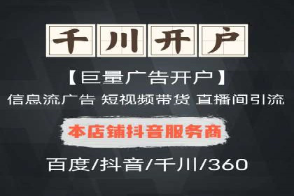 百度广告投放策略与效果评估案例